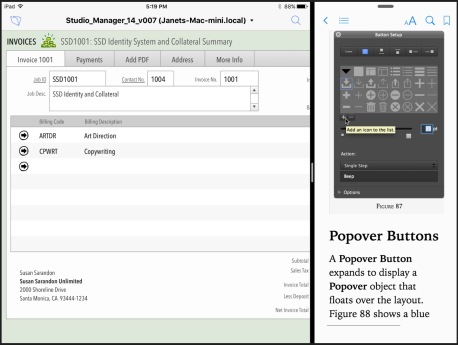 FileMaker14Go_w_iBooks_Splitview